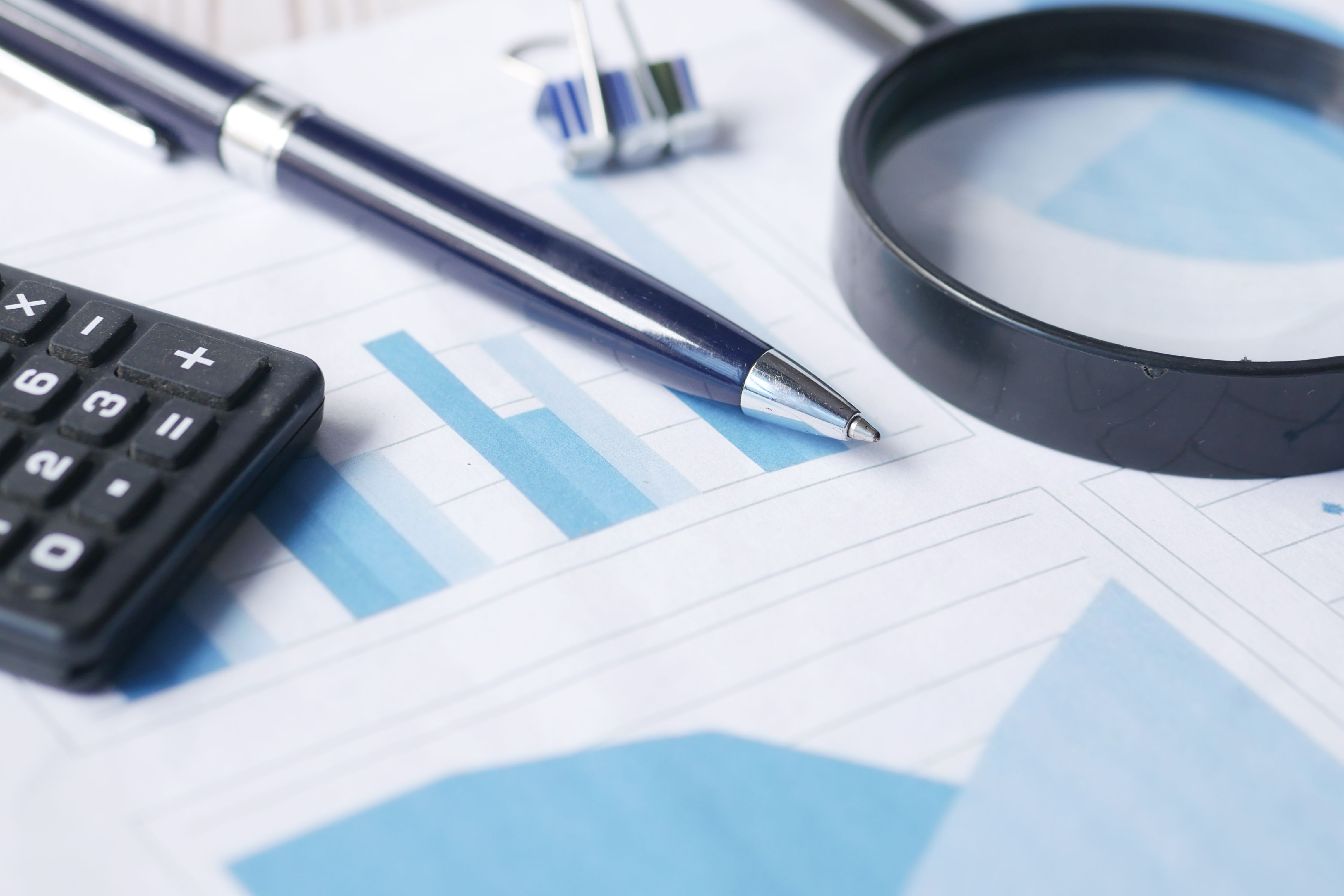 NGO/NPO & Donor-Funded Project Audit